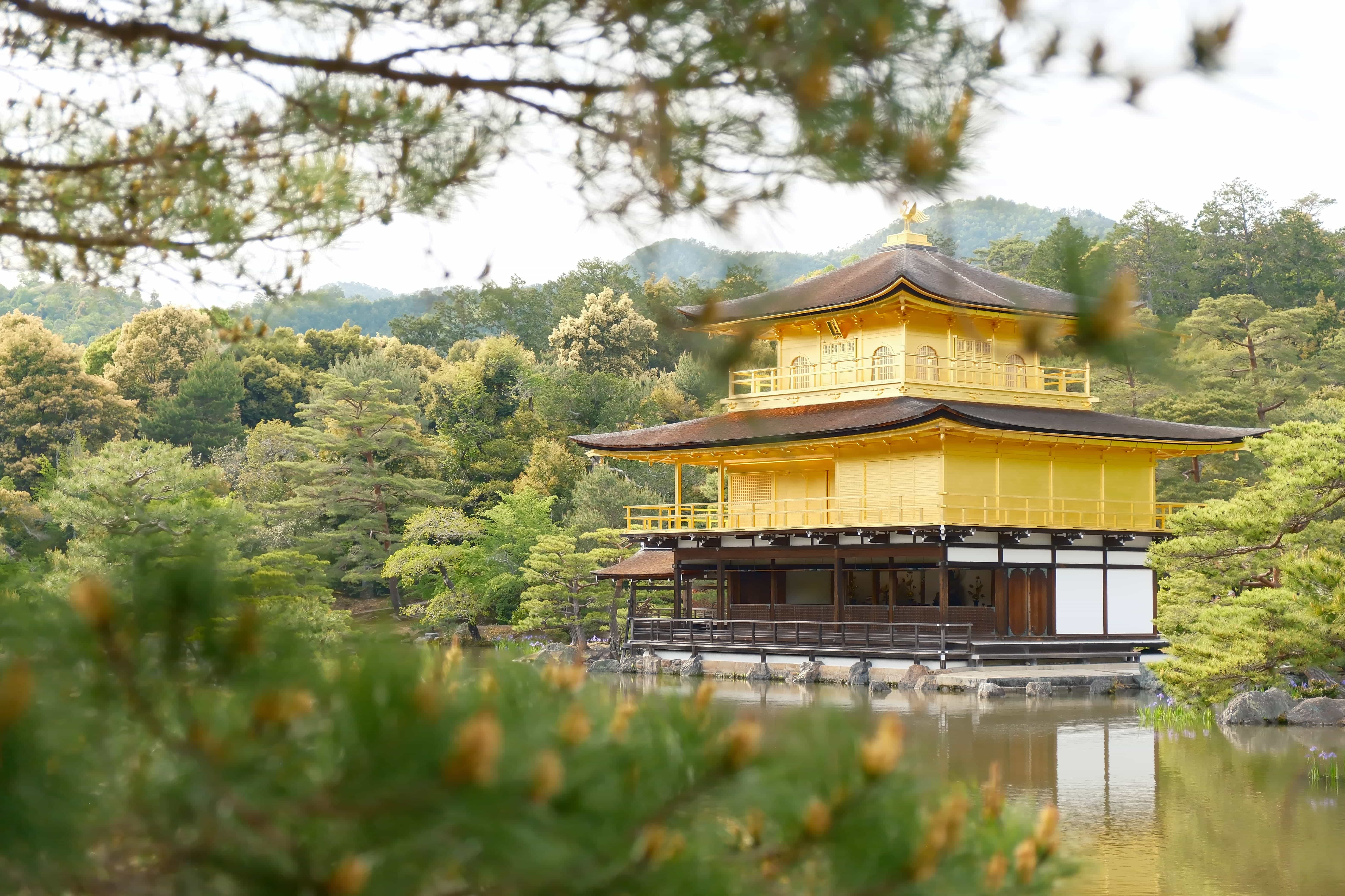 Cover Image for 读书 | 《金阁寺》